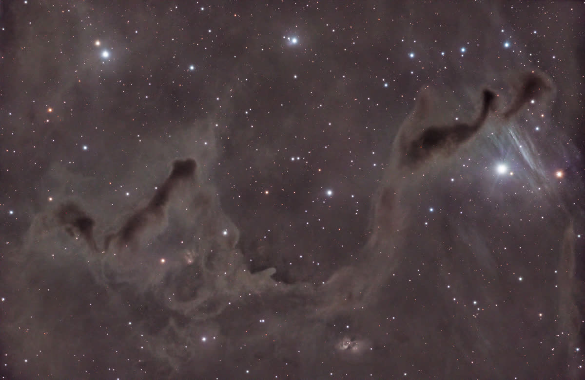 LDN 1355 - Nebulosa Mano Auxiliadora